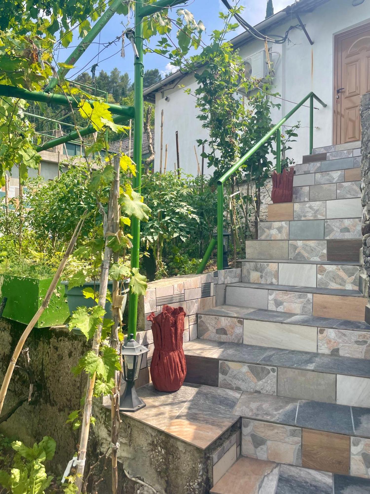 Panoramic View Guest House Gjirokastra Kültér fotó