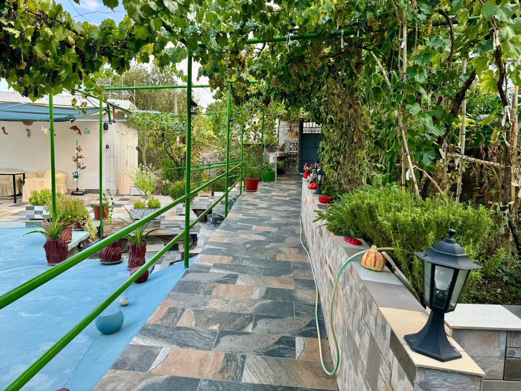 Panoramic View Guest House Gjirokastra Kültér fotó