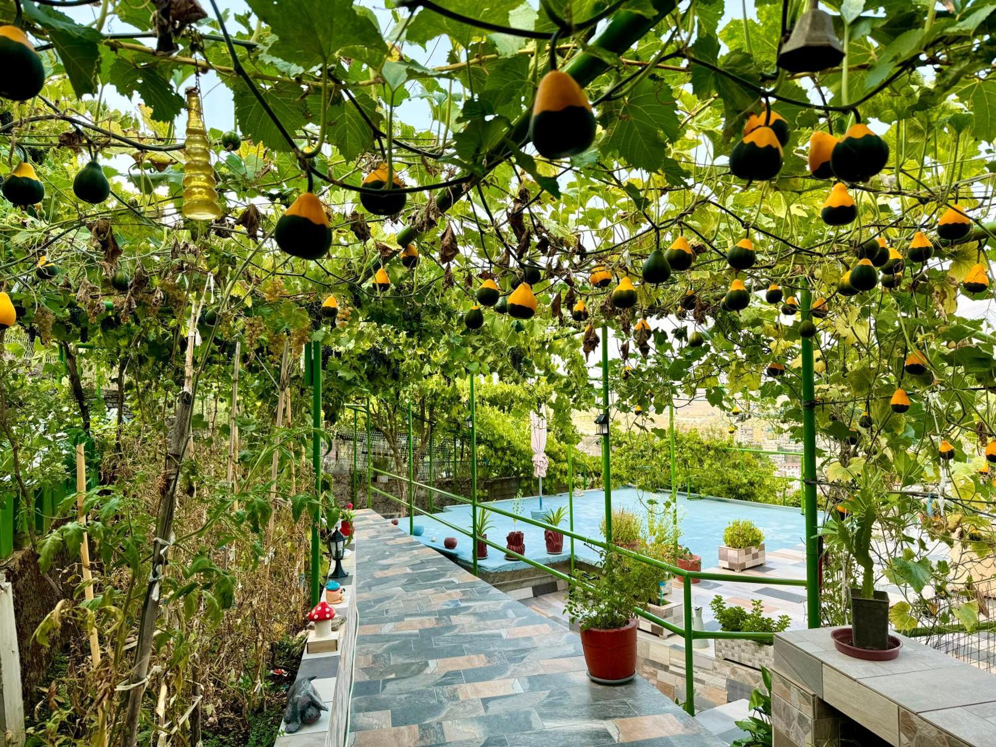 Panoramic View Guest House Gjirokastra Kültér fotó